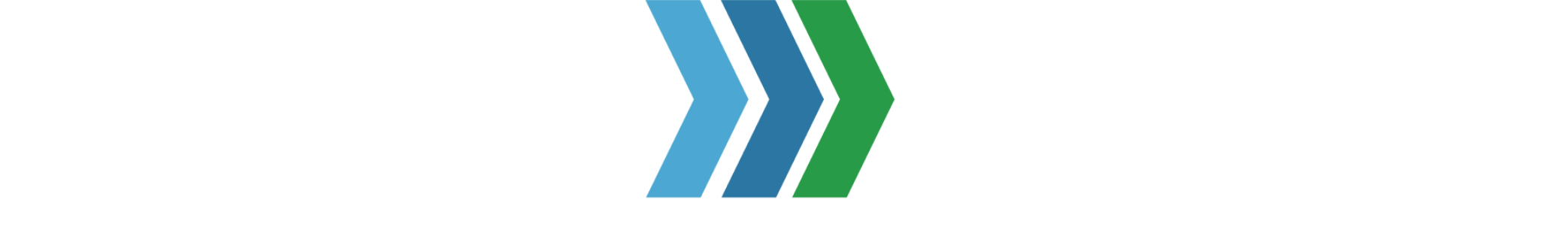 Weslo Digital